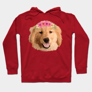 Golden Retriever with Flower Hoodie